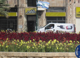 IMG_0260ab.jpg