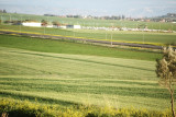 The New Cemetery
