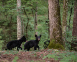 20130822 Kelly DSC_5096.jpg
