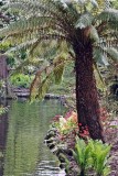 Christchurch Botanics 4.jpg