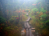 appalachian trail 1651.jpg