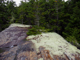 appalachian trail 1901.jpg