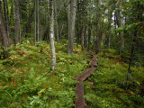 appalachian trail 1945.jpg