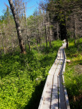 Appalchian Trail from Rt 15, Monson, to Rt 201, Caratunk, Maine, USA