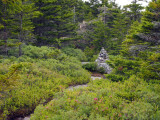 appalachian trail 162.jpg