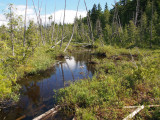 appalachian trail from caratunk kennebec river to long fall dam road 140.jpg