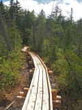 appalachian trail from caratunk kennebec river to long fall dam road 142.jpg