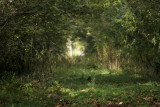 Acadiana Nature Park, Lafayette, LA