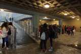 cribb_20140508_6979.jpg