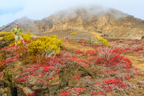 San Cristobal - Pitt Point