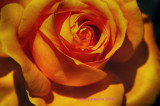 2012_images