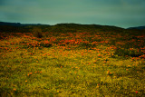 BAA_3583