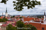 Tallin Viewpoint