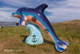 08 - Delphinus - Star Navigator