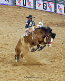 Rodeo 2015 08