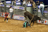 Rodeo 2015 17