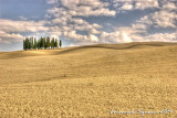  Val d'Orcia (Siena)