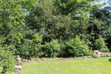IMG_0740.jpg