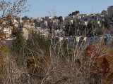 P1240680.jpg