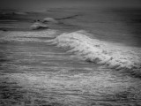 To the Shore Callifornia - December 2015