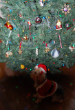 Santa Suit 2.jpg
