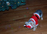 Santa Suit 5.jpg