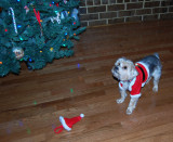 Santa Suit 6.jpg