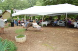DSC_9564.JPG
