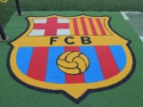 DSCN9547.JPG
