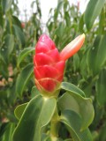 DSCN8888.JPG