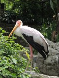 DSCN8910.JPG