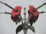 DSCN8990.JPG