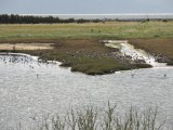 DSCN4016.JPG