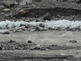 DSCN5327.JPG