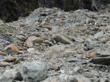 DSCN5344.JPG
