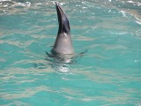 DSCN5831.JPG