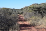 DSC_3224.JPG