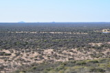DSC_3227.JPG