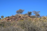 DSC_3229.JPG
