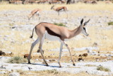 DSC_3372.JPG