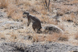 DSC_3398A.jpg