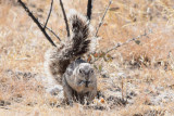 DSC_3400A.jpg