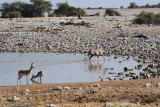 DSC_3519.JPG