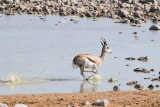 DSC_3522.JPG