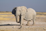 DSC_3565.JPG