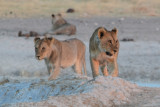 DSC_3720A.jpg