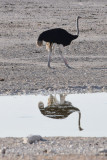 DSC_3798A.jpg