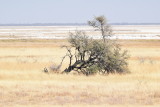 DSC_3817.JPG