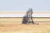 DSC_3818.JPG