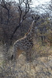 DSC_3883.JPG